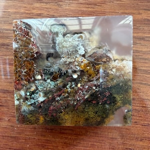 Mary added a photo of their purchase