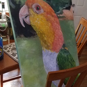 Jeremy a ajouté une photo de son achat