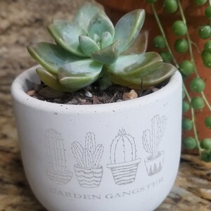Etsy-Käufer:in hat ein Foto des gekauften Artikels hinzugefügt