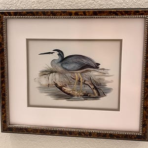 Texas added a photo of their purchase