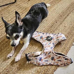 Liesan added a photo of their purchase