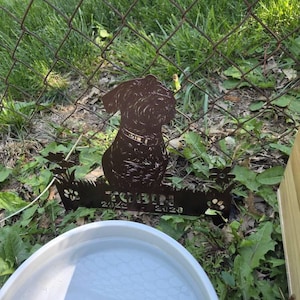 K added a photo of their purchase
