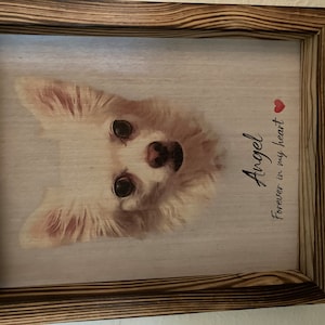 Nancy hat ein Foto des gekauften Artikels hinzugefügt