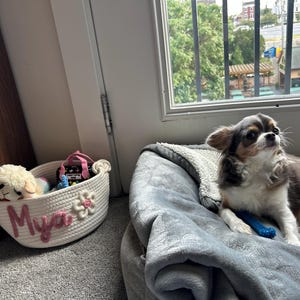 Mikhaila added a photo of their purchase