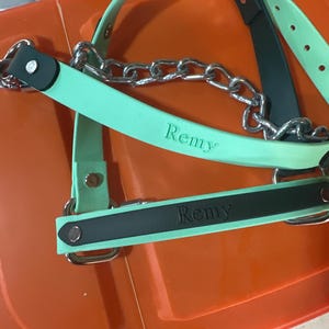 LAMB HALTER | "Duo" | stock show | show lamb |