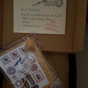 Wizard School Acceptance Letter, Fast Turnaround (< 5 biz days), Personalized, Handmade, Authentic, Gift, Real Wax Seal, Invitation, witch