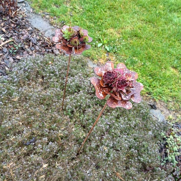 Edelrost Eule Zum Aufhängen – Lebensgroß 67 Cm, Rostige Gartendekoration Aus Stahl, Inkl. Pflegeanleitung