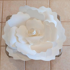 Deana added a photo of their purchase