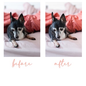 Angie added a photo of their purchase