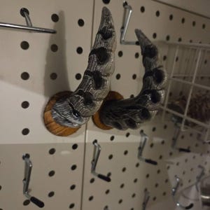Rhee added a photo of their purchase