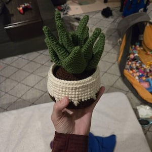 Robin Stratton added a photo of their purchase