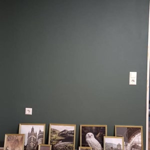 Hannah added a photo of their purchase