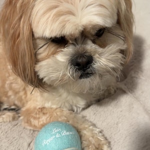 Lexi added a photo of their purchase