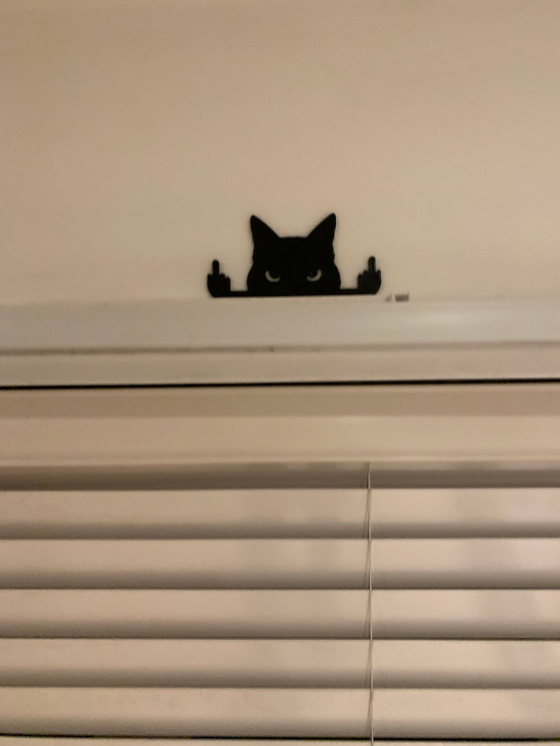 Novelty Cat Ornament Or Display On Door Or Wall
