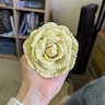 Reviewer's image