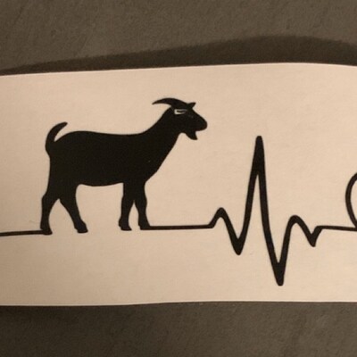 Carole Baskin Sardine Oil no 1tiger King SVG Jpg PNG & DXF - Etsy