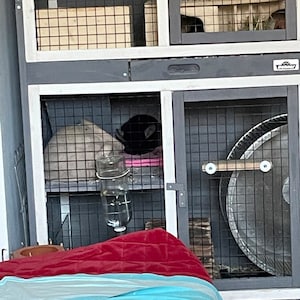 Alisa a ajouté une photo de son achat