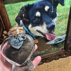 Savanna a ajouté une photo de son achat