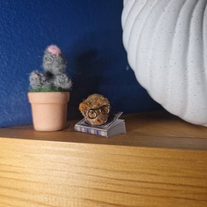 Rachel さんが購入した商品の写真を追加しました