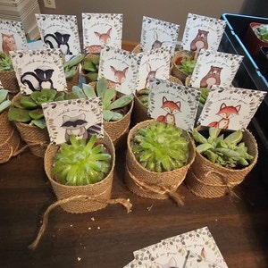Amie added a photo of their purchase