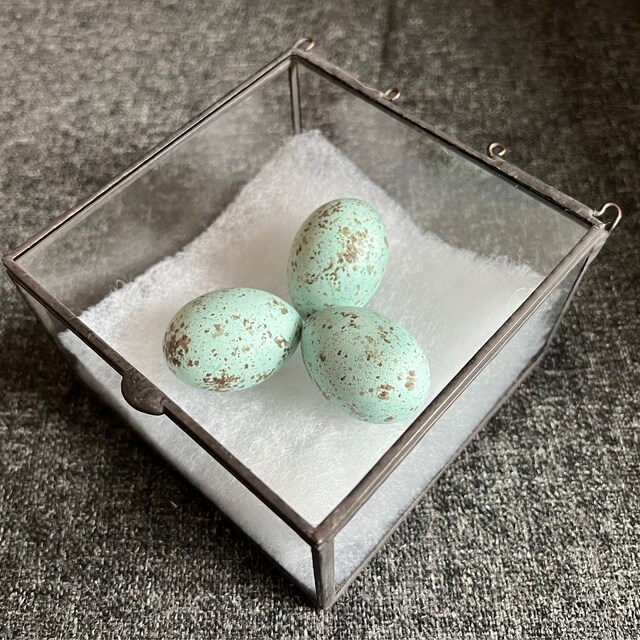 ハワイアンカラス（「アララ」）のレプリカ鳥の卵 - Etsy 日本