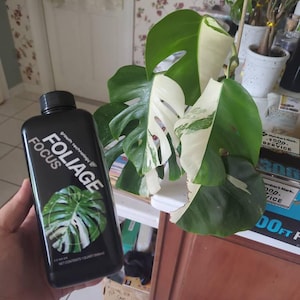 tai added a photo of their purchase