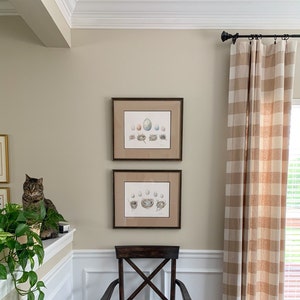 Forrest added a photo of their purchase