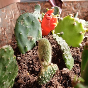 Etsy buyer added a photo of their purchase