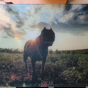 Jen added a photo of their purchase