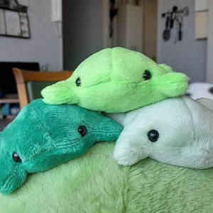 Sasam ha aggiunto una foto del proprio acquisto