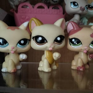 My Littlest Petshop LPS Pet Shop chat persan 153 cat #geektradelpschat