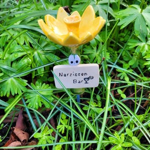 Dana added a photo of their purchase