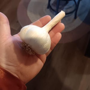 Robert adicionaram uma foto da sua compra