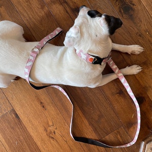 Kel added a photo of their purchase