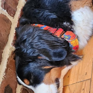 Konda added a photo of their purchase