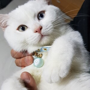 hannah a ajouté une photo de son achat