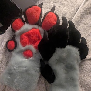 Alice added a photo of their purchase