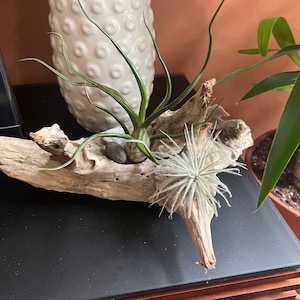 Patricia added a photo of their purchase