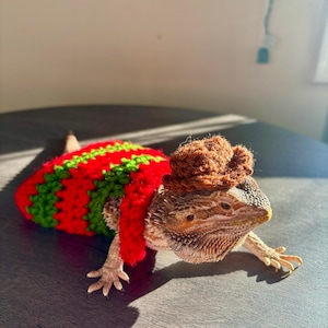 Crocheted Freddy Krueger Bearded Dragon Costume | Lizard Clothing