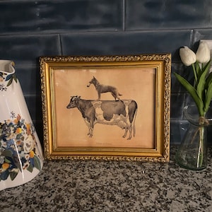 Megan added a photo of their purchase