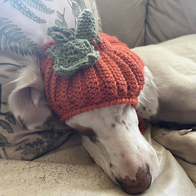 Santa Dog Hat Crochet PATTERN - Etsy