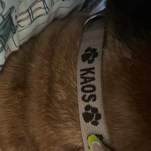Stephanie added a photo of their purchase