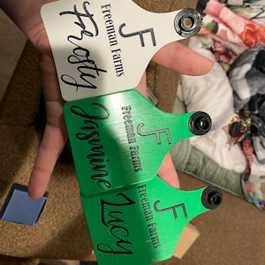 Lauren added a photo of their purchase