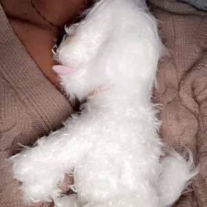 Riley added a photo of their purchase