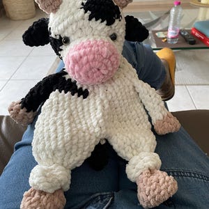 Béatrice heeft een foto van de aankoop toegevoegd