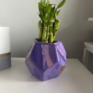 N added a photo of their purchase