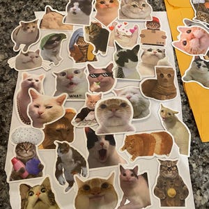 Devon adicionaram uma foto da sua compra