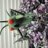 Reviewer's image