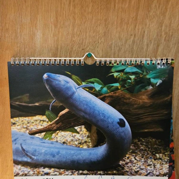 Caterpillar Wall Calendar 2025 Etsy