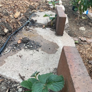 Stephanie added a photo of their purchase